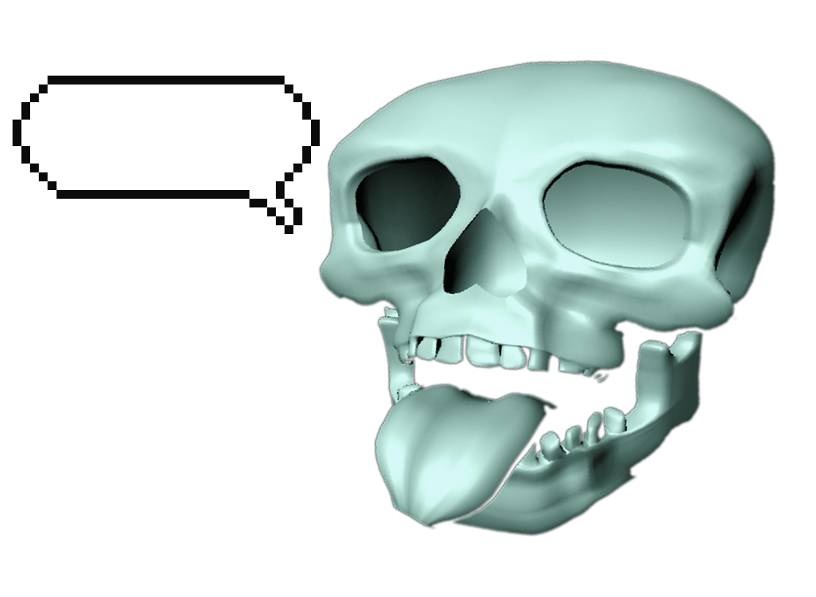 Ninja skull